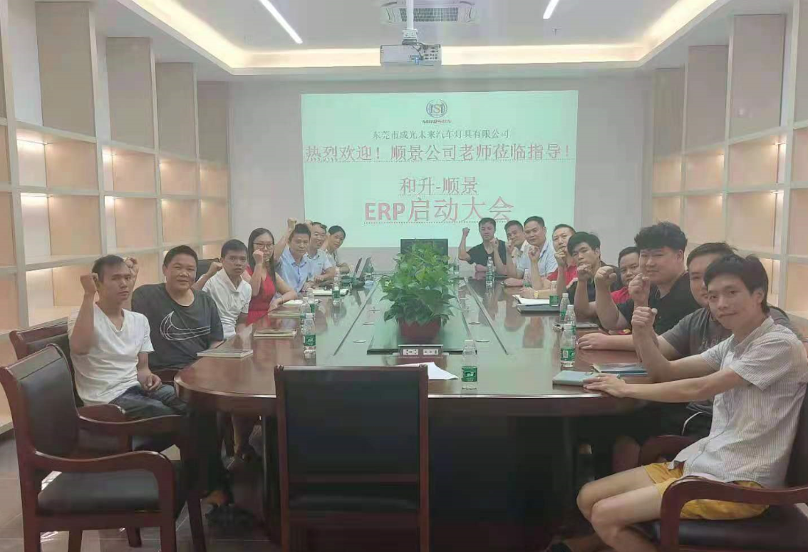 承前启后，智造先行!和升汽车照明公司携手开云app官方在线入口-开云(中国)软件打造数智管理
